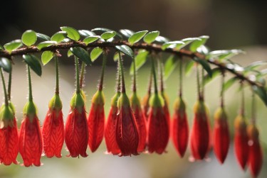 佛山高明区7私人快速借钱网，轻松解决资金难题