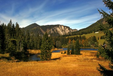 佛山高明区7民间私贷攻略：揭秘低成本借贷的秘密