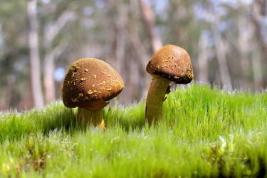 佛山高明区7私人老板放款：轻松融资的秘密通道